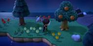 Player catching a scarab beetle in Animal Crossing: New Horizons (Image via Screenrant)